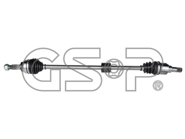 FLECHA HOMOCINETICA GSP
