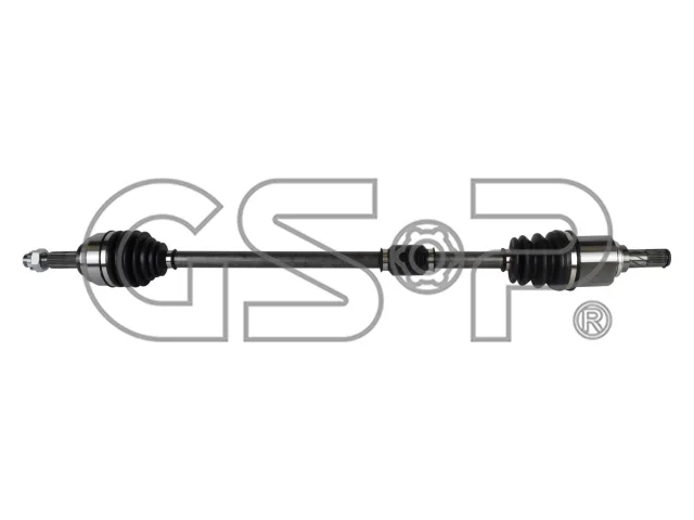 FLECHA HOMOCINETICA GSP